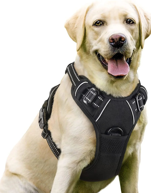 Load image into Gallery viewer, Dog Harness, No-Pull Pet Harness with 2 Leash Clips, Adjustable Soft Padded Dog Vest, Reflective Outdoor Pet Oxford Vest with Easy Control Handle for Large Dogs, Black
