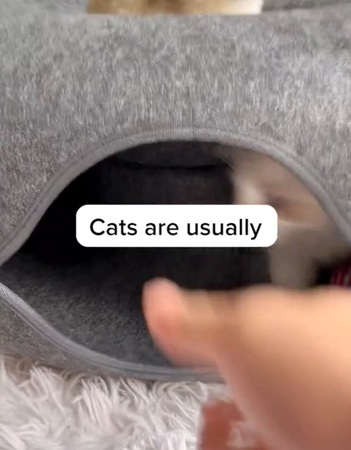 Load image into Gallery viewer, Peekaboo Cat Cave EXTRA LARGE Cat Tunnel Bed Indoor Cats, Cat Donut,Gray, USA
