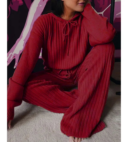 Two Piece Set Women Spot Hot Style Europe Long Sleeve New 2023 Loose Hooded Leisure Suit Tracksuit Women Dropshipping CKX9436